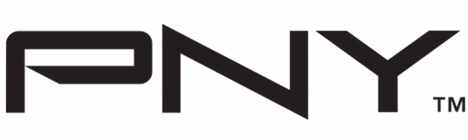لوگو برند پی ان وای